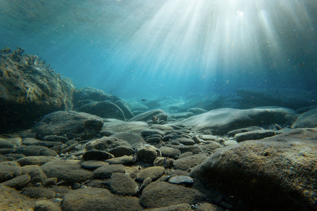 Underwater Photography