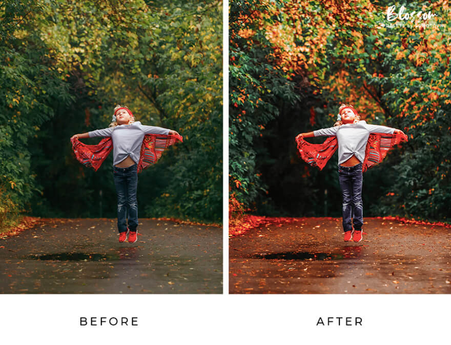 Blossom Free Lightroom Presets