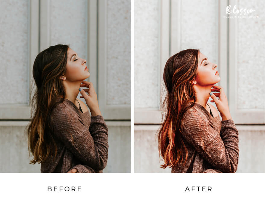 Blossom Free Lightroom Presets