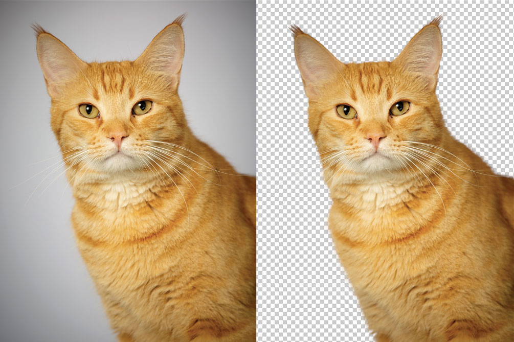 Image Masking Service