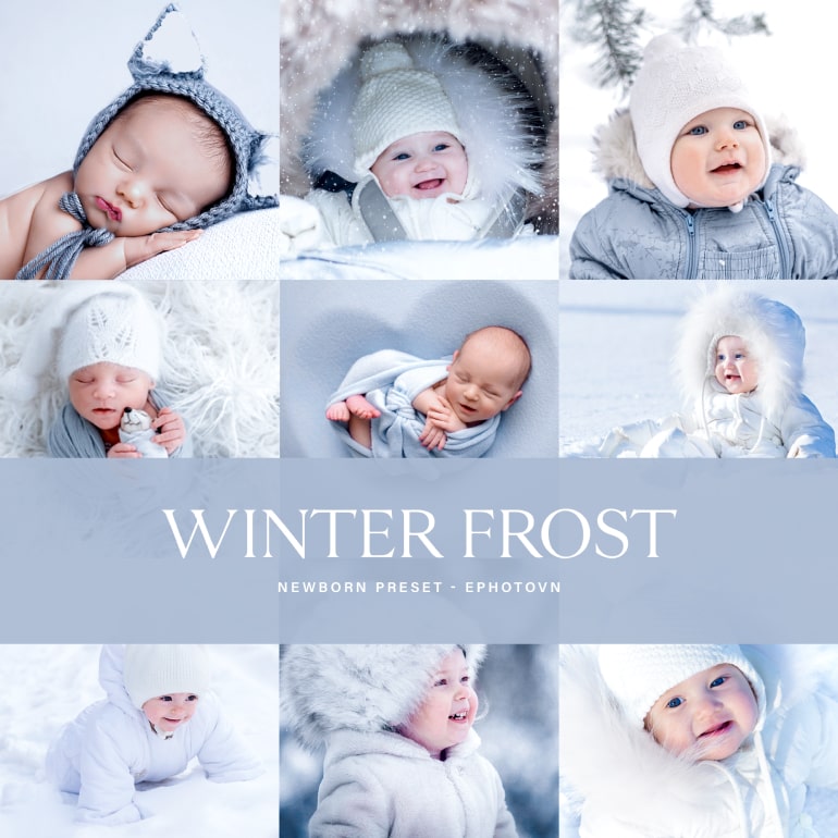 The Winter Frost Action Collection