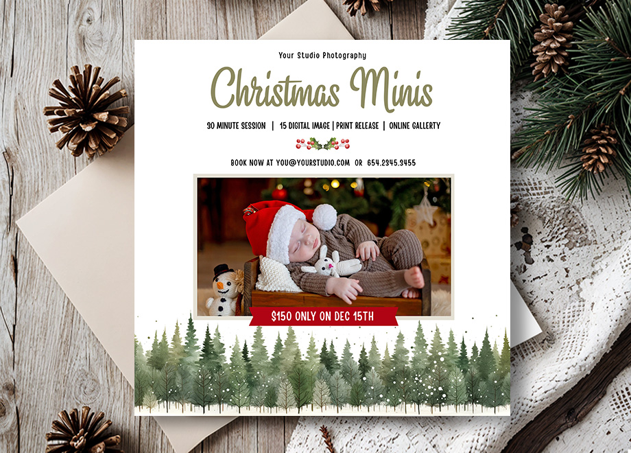 Newborn Christmas Mini Session