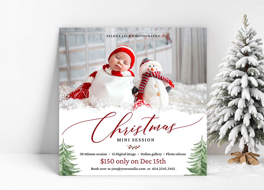 Newborn Christmas Mini Session 2