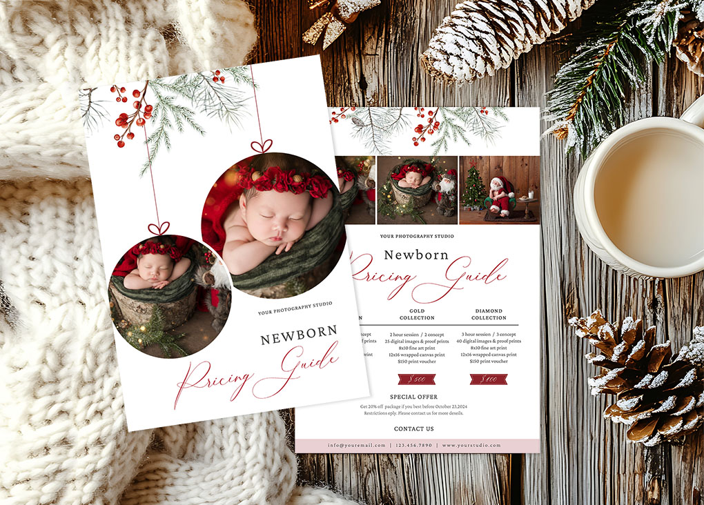 Newborn Christmas Pricing Guide